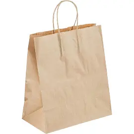 Крафт-пакет бумажный коричневый с кручеными ручками 26x15x35 см 70 г/кв.м био (200 штук в упаковке)