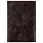 Обложка для паспорта натуральная кожа пулап, 3D герб + тиснение "ПАСПОРТ", темно-коричневая, BRAUBERG, 238194 Фото 2