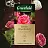 Чай черный Greenfield Rose Pineberry 25 пакетиков (роза, клубника) Фото 4