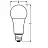 Лампа светодиодная Osram LEDSCLA150 А 13Вт E27 4000К 1521Лм 240В (4058075695412) Фото 2