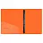 Папка на 4 кольцах Berlingo "Neon", 24мм, 1000мкм, оранжевый неон, D-кольца, с внутр. карманом Фото 0