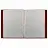 Папка 40 вкладышей BRAUBERG "Office", красная, 0,6 мм, 271328 Фото 4