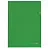 Папка-уголок жесткая, непрозрачная BRAUBERG, зеленая, 0,15 мм, 224881 Фото 0