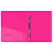 Папка с пружинным скоросшивателем Berlingo "Neon", 17мм, 1000мкм, розовый неон, с внутр. карманом Фото 0