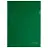 Папка-уголок жесткая А4, зеленая, 0,15 мм, BRAUBERG EXTRA, 271704 Фото 1
