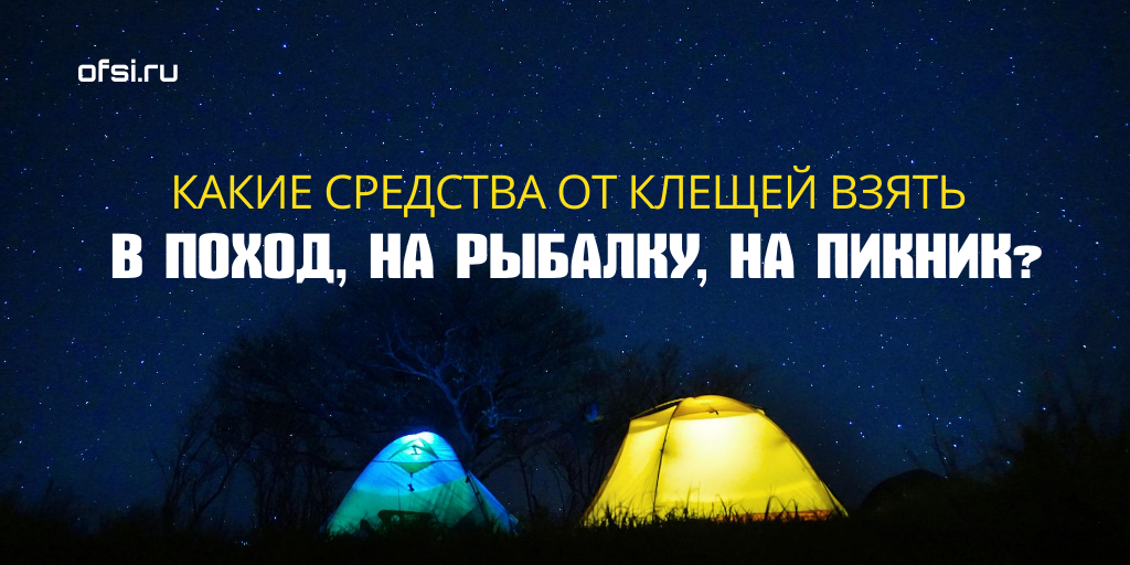 Какие средства от клещей взять в поход, на рыбалку, на пикник?