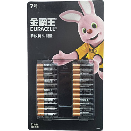 Батарейка AAA мизинчиковая Duracell Basic (22 штуки в упаковке)