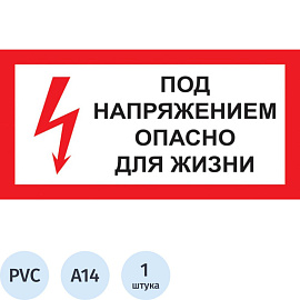 Знак безопасности Под напряжением! Опасно для жизни A14 (300х150 мм, пластик)