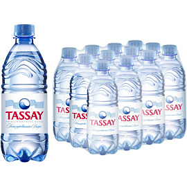 Вода питьевая TASSAY негазированная 0,5 л