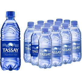 Вода TASSAY газированная пэт 0,5л