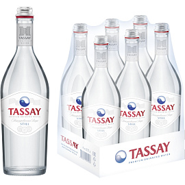 Вода питьевая TASSAY негазированная 0,75 л