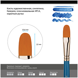 Кисть художественная синтетика Гамма "Галерея", плоскоовальная №14, короткая ручка