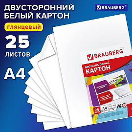 Картон белый А4 МЕЛОВАННЫЙ (белый оборот), 25 листов, BRAUBERG, 210х297 мм, 124021