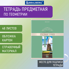 Тетрадь предметная "DELIGHT" 48 л., обложка картон, ГЕОМЕТРИЯ, клетка, BRAUBERG, 404573