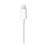 Наушники Apple EarPods с разъемом lightning белые (MMTN2ZM/A) Фото 3